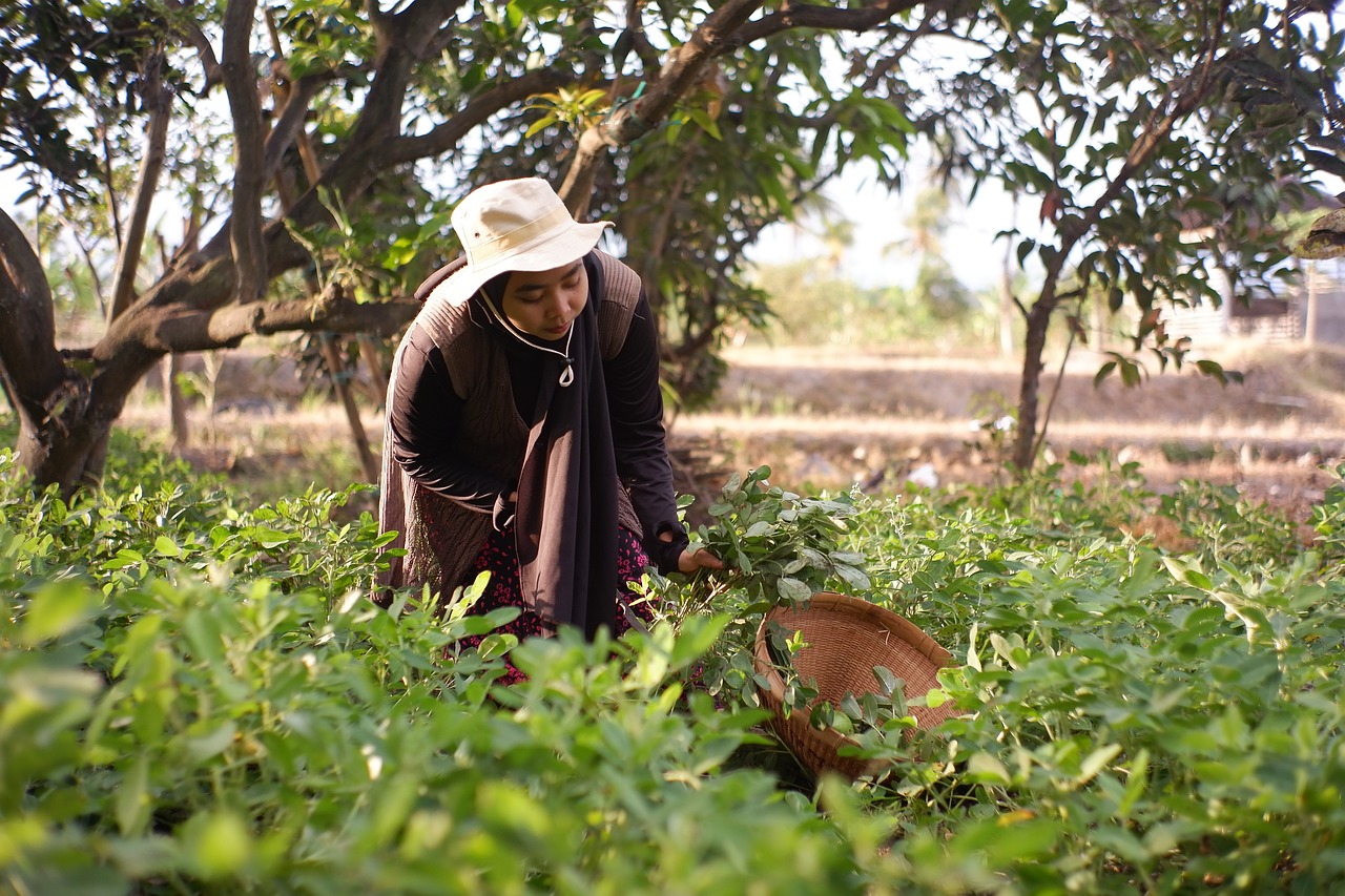 The Impact of Climate Change on Female Farmers